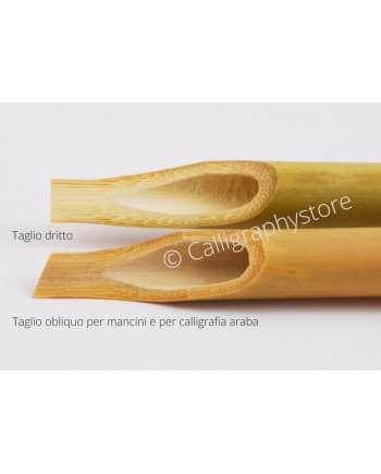 Calamo di bambù