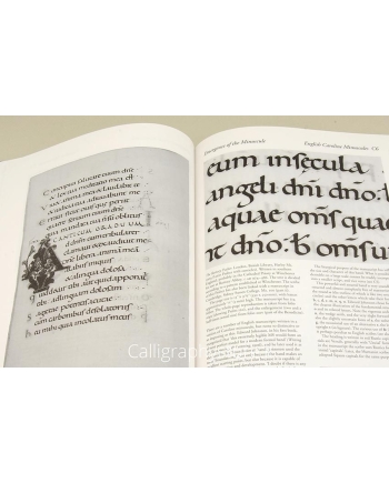 Historical Scripts