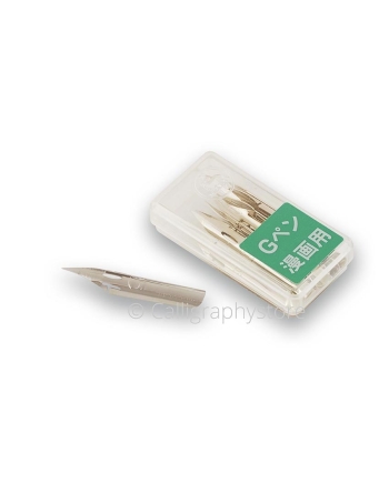 Zebra G 10 pcs boxes