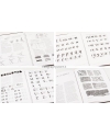 Foundations of calligraphy