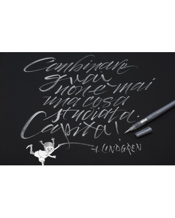 Fude pen argent