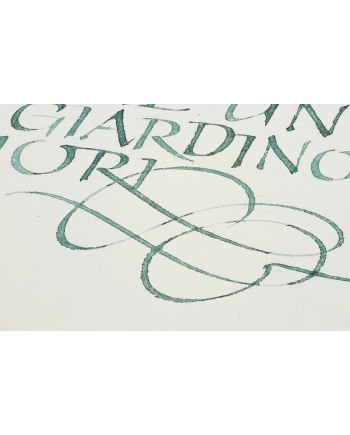 Hahnemühle 300 gsm 78 x 53