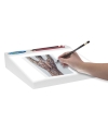 LightTracer LED light box