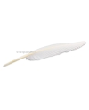 Plume d'oie avec empennage entier