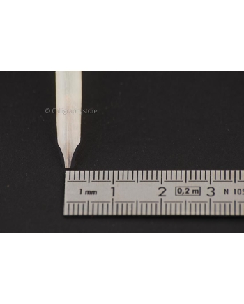 Plume d'oie avec empennage court