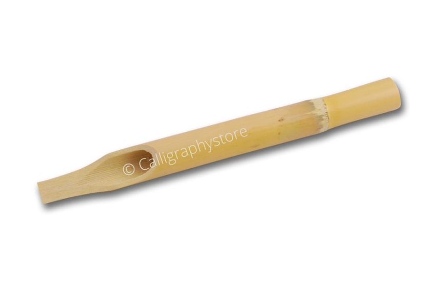 Calamo di canna