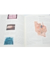 Belle lettere