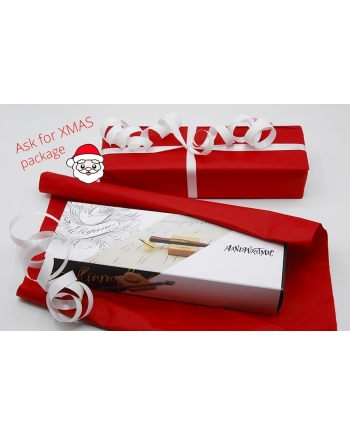 Ruling pen Art box avec encre rouge rubis