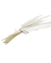 Ten second choice uncut quills