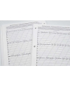 American cursive handwriting