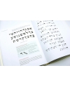 Mastering Hebrew Calligraphy by Izzy Pludwinski