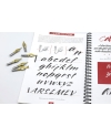 Set of six Speedball B style nibs