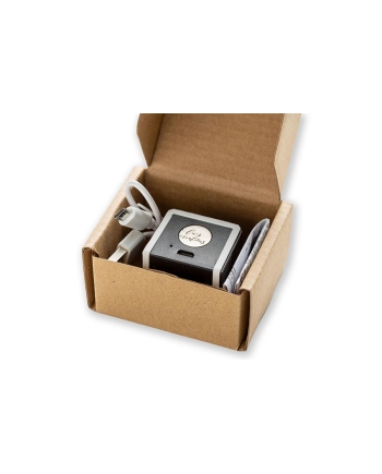 Puntatore laser per calligrafia