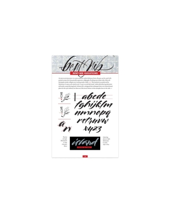 Speedball Textbook 26ème édition