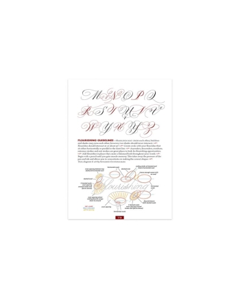 Speedball Textbook 26a edizione