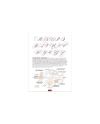 Speedball Textbook 26a edizione